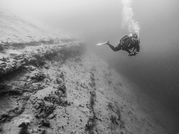 Marine Room canyon